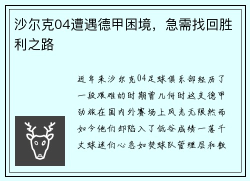 沙尔克04遭遇德甲困境，急需找回胜利之路